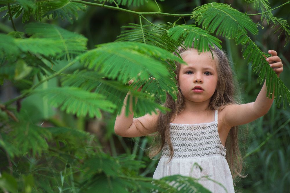 Photograph by Mary Parey