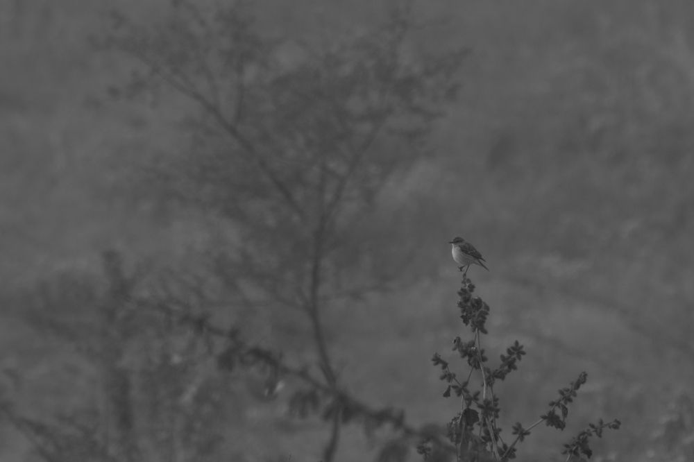 Ohh, it's damn cold.