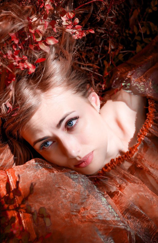 Утро в лесу