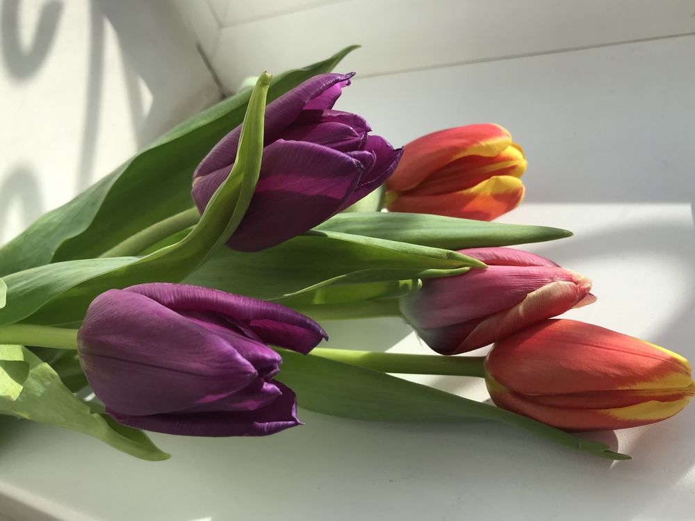 Photograph by Анар Амирова