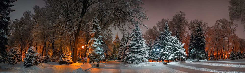 Кафедральный Собор в уютном окружении