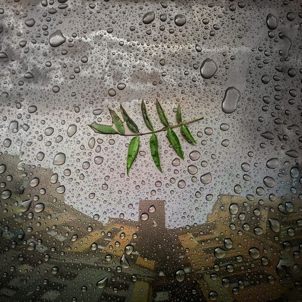 The city in the reflection