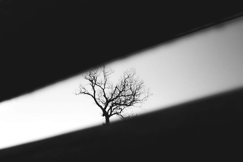 Светлая полоса