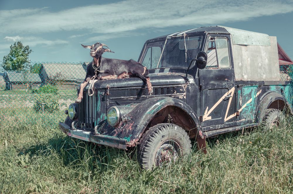 Новая эмблема на машину