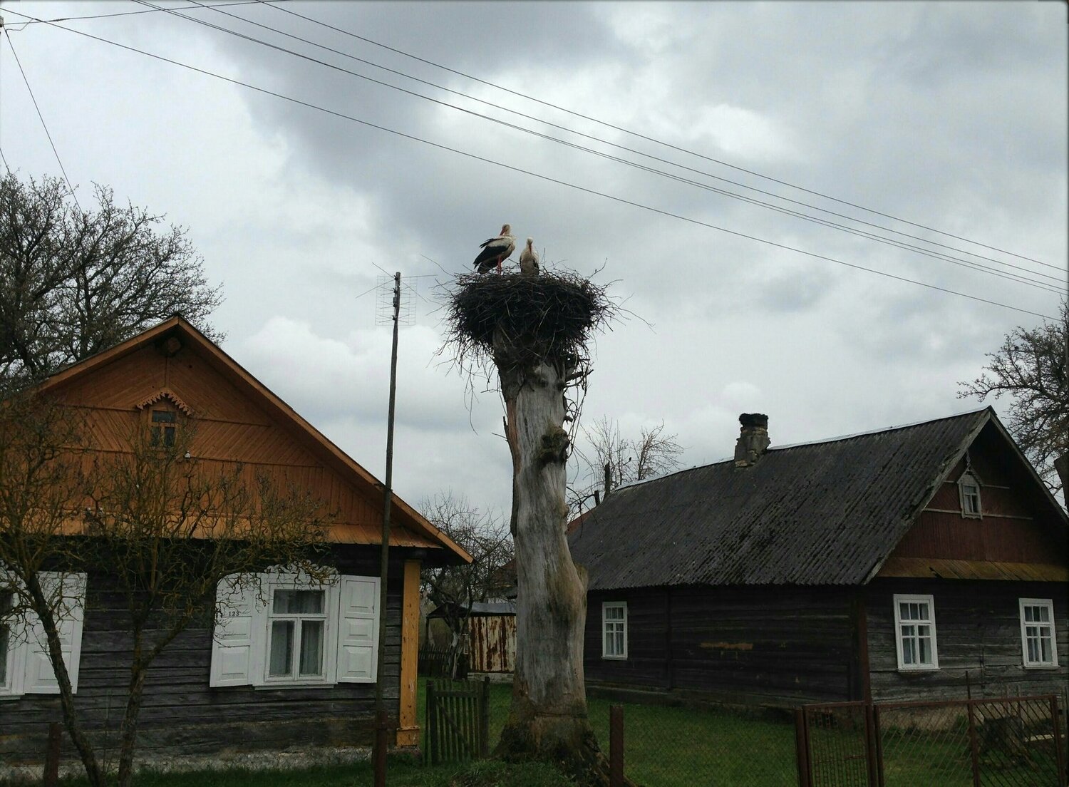Осень