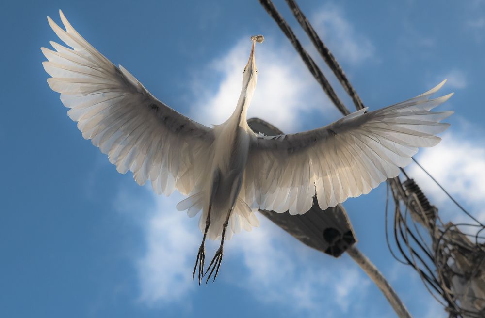 Photograph by Ilya Kartchevski