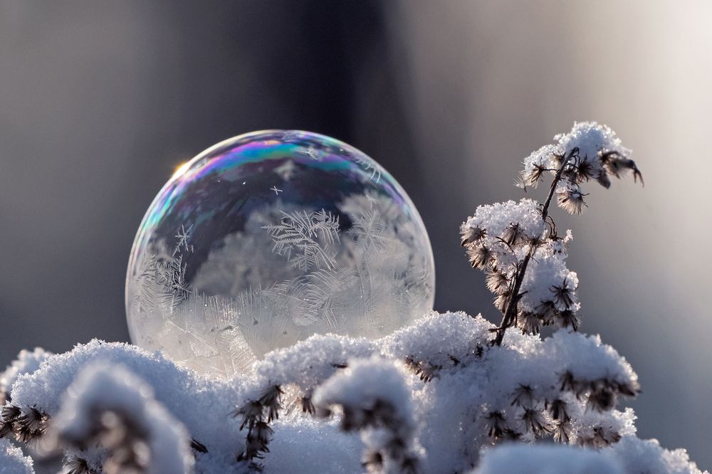 Зимнее волшебство