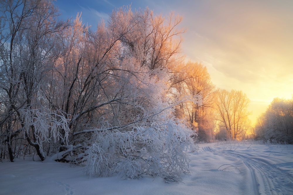 Безмятежность