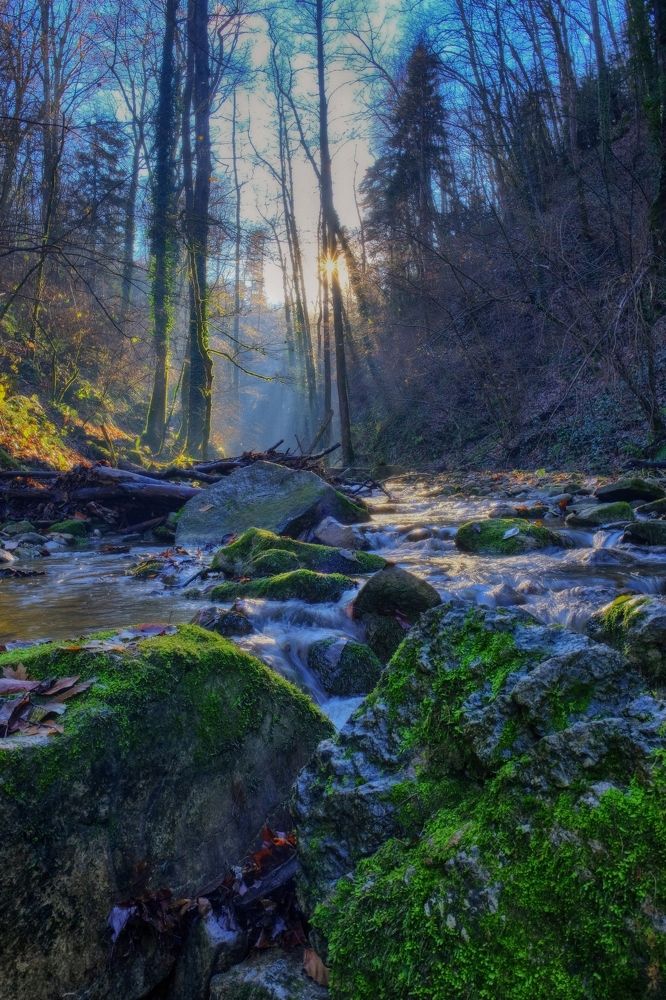 Эльфийское царство