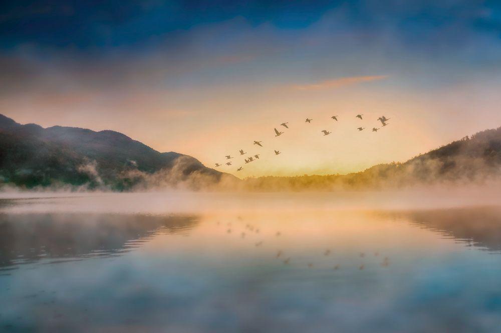 On the way to the south...