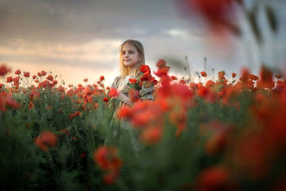 прогулка в маках