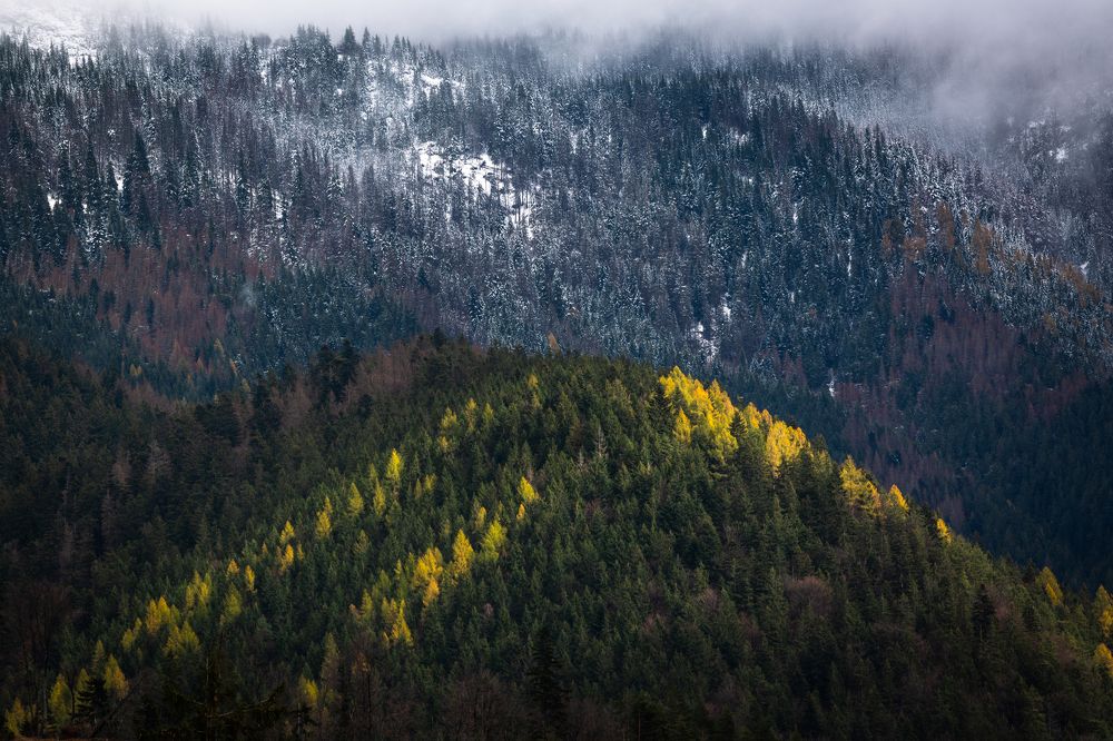 Photograph by Eriks Zilbalodis