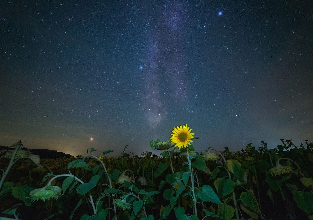 Чужой среди своих