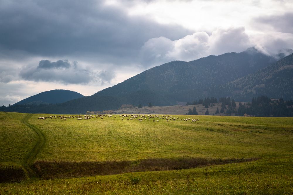 Photograph by Eriks Zilbalodis