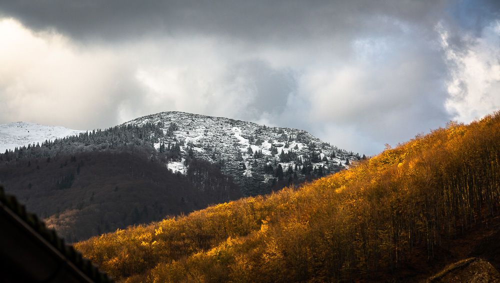 Photograph by Eriks Zilbalodis