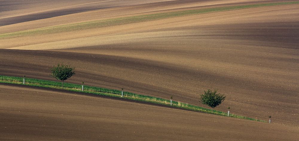 Photograph by Eriks Zilbalodis