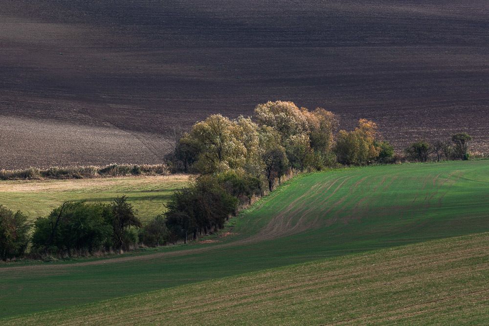 Photograph by Eriks Zilbalodis