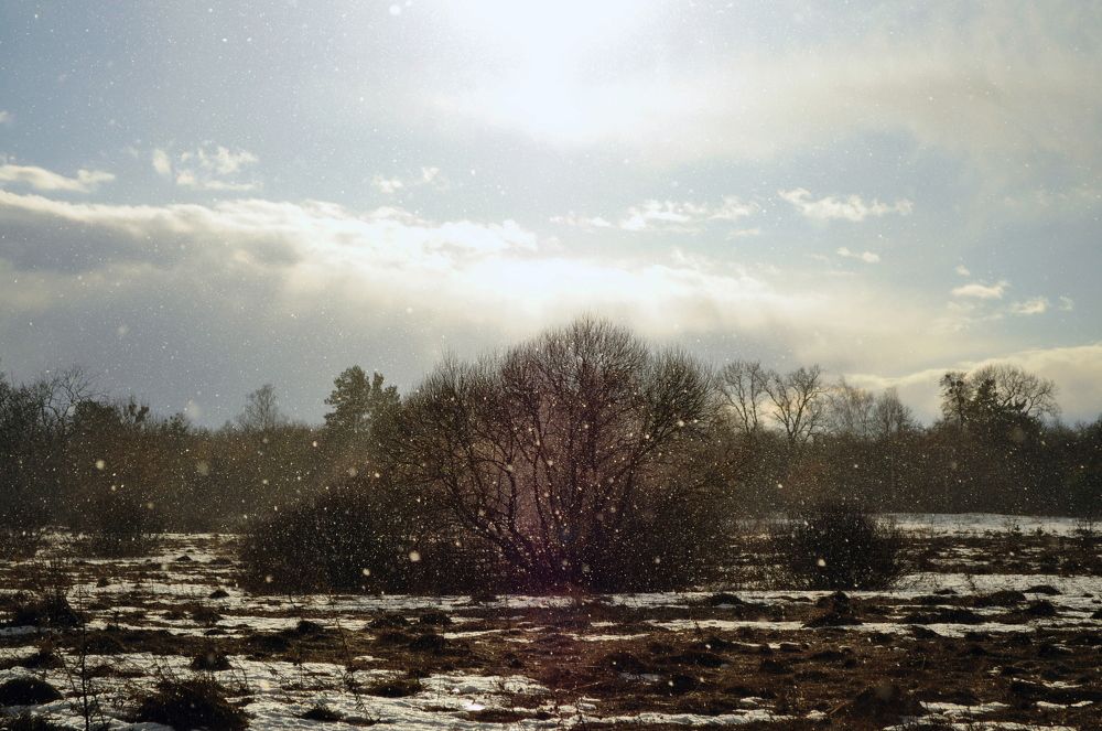 Зимний день.