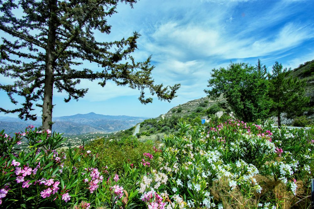 Весна на Кипре