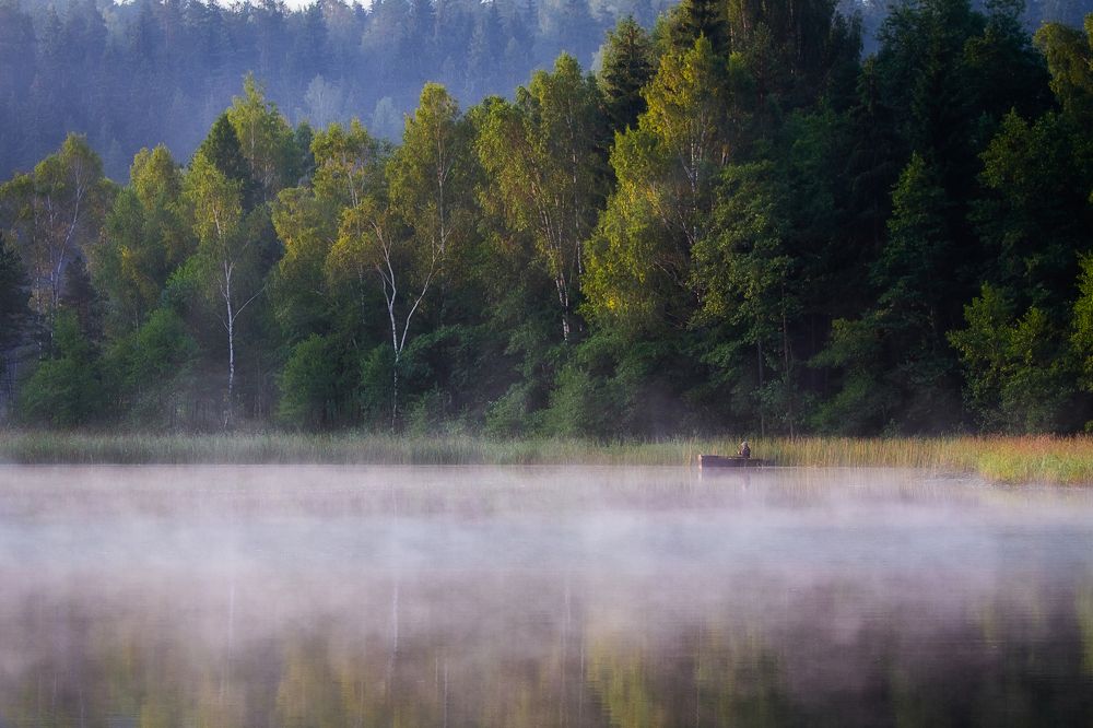 У туманных берегов