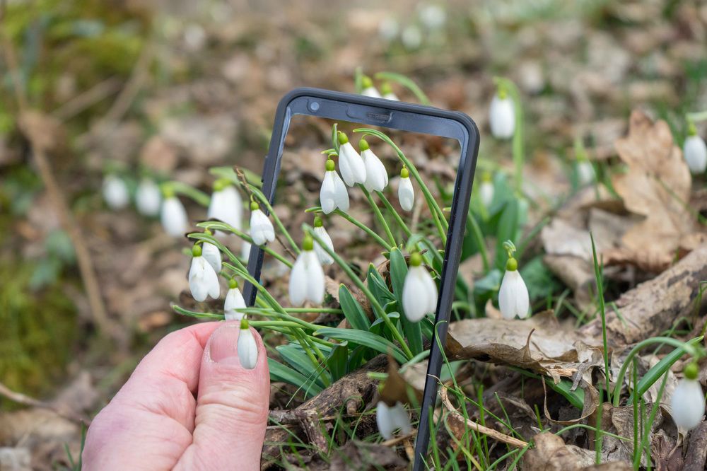 весна пришла