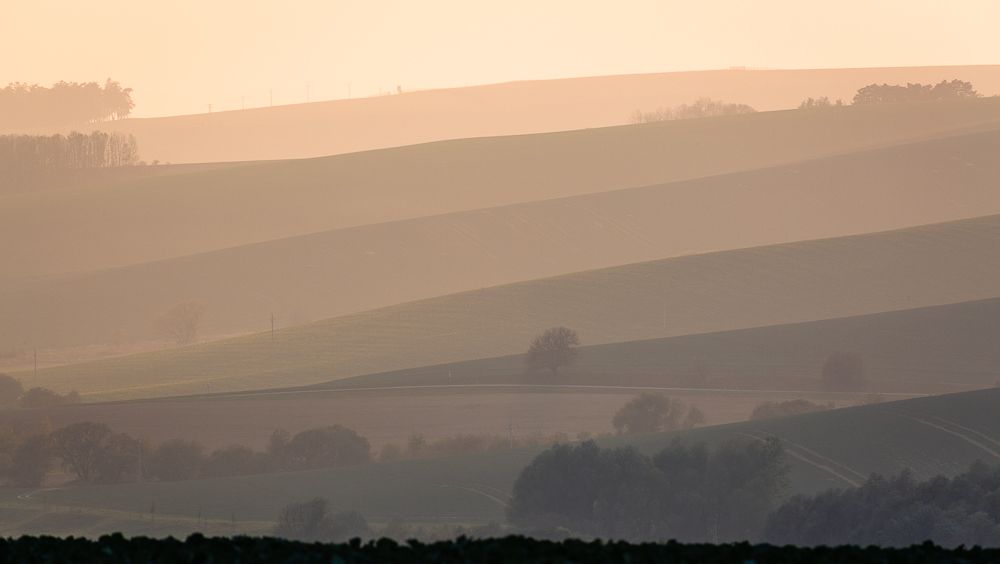 Photograph by Eriks Zilbalodis