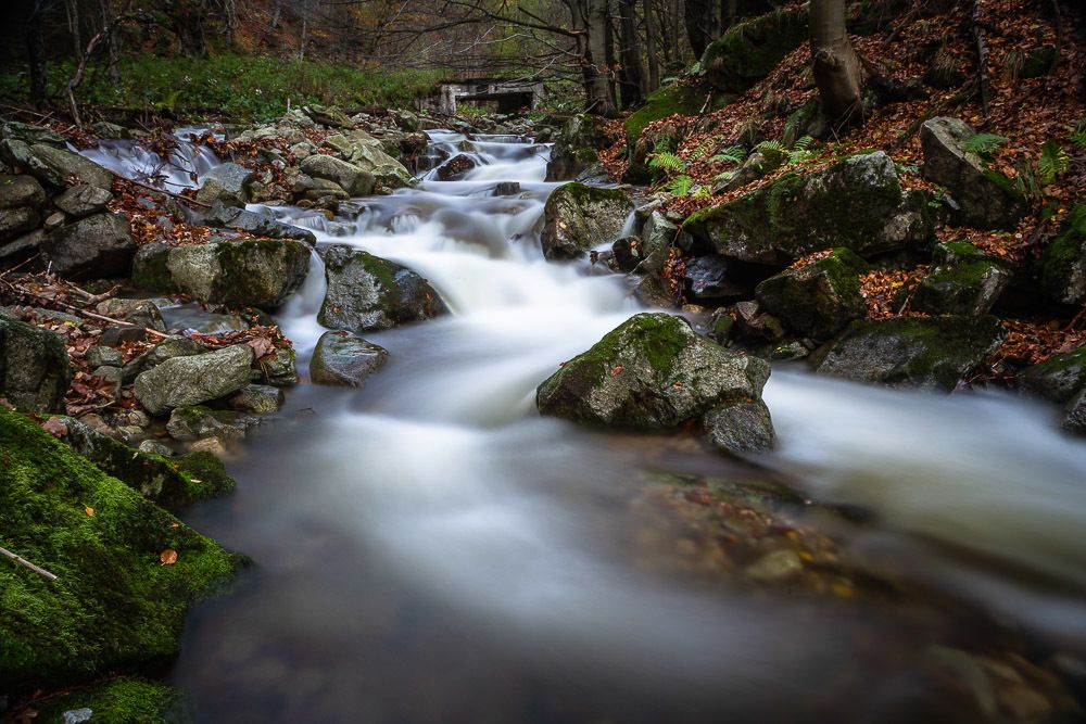 Photograph by Eriks Zilbalodis