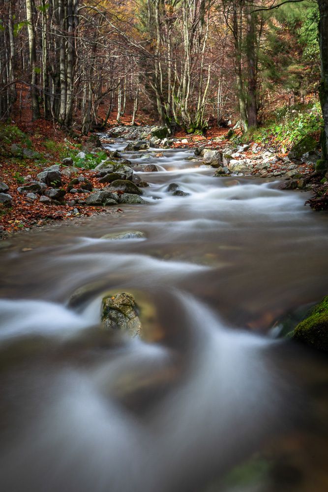 Photograph by Eriks Zilbalodis