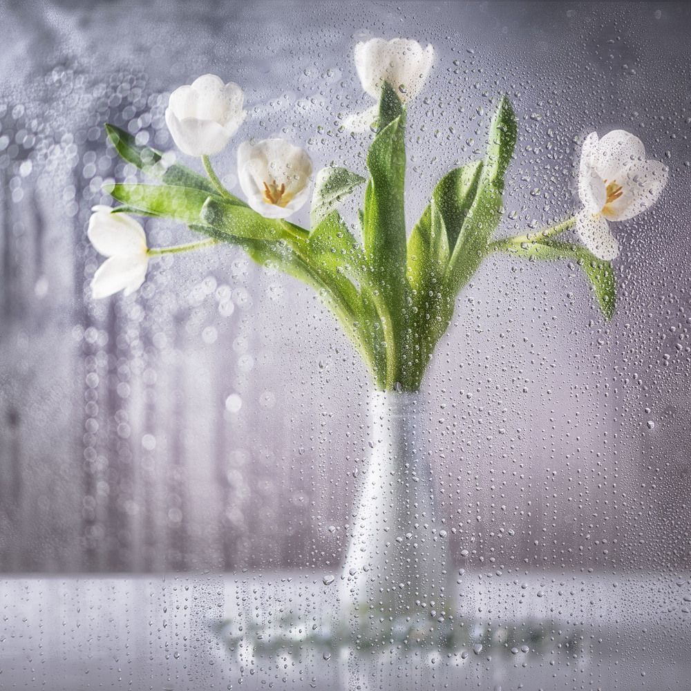 Photograph by Татьяна Слёзкина