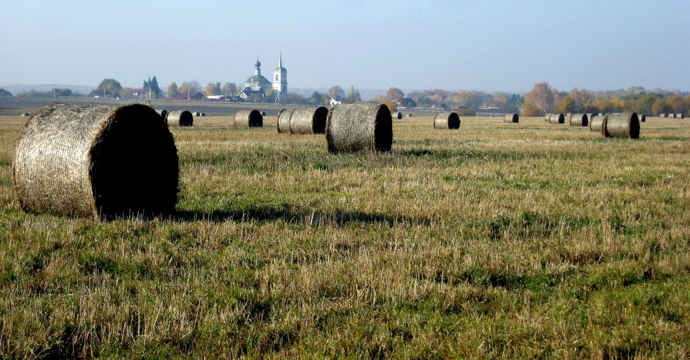 Осень в подмосковьи