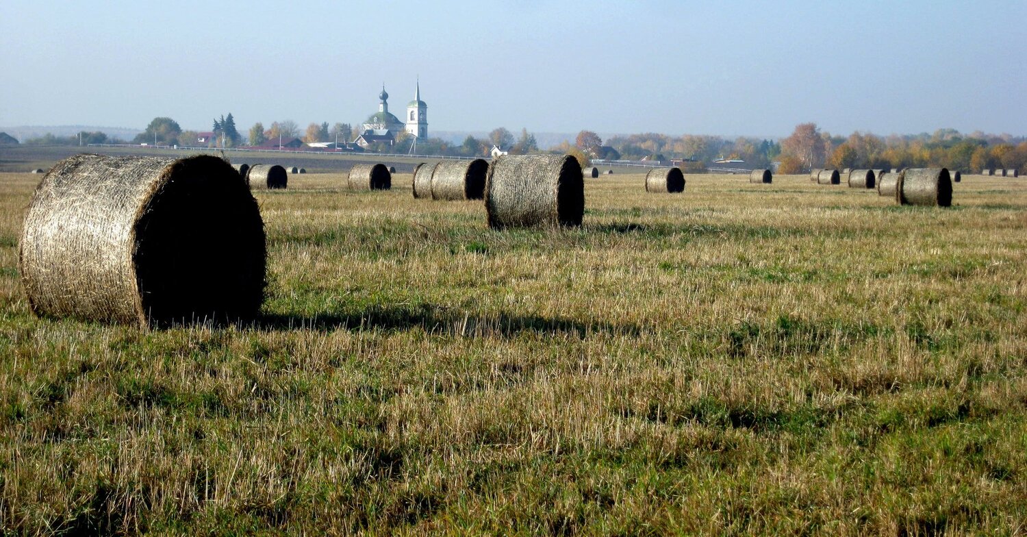 Осень в подмосковьи