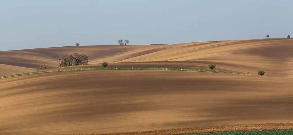 Photograph by Eriks Zilbalodis