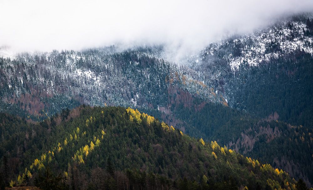 Photograph by Eriks Zilbalodis