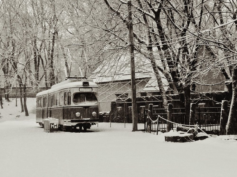 Very lonely tram