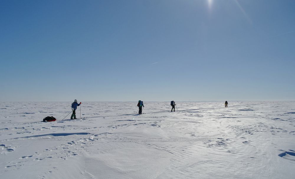 Навстречу Солнцу!