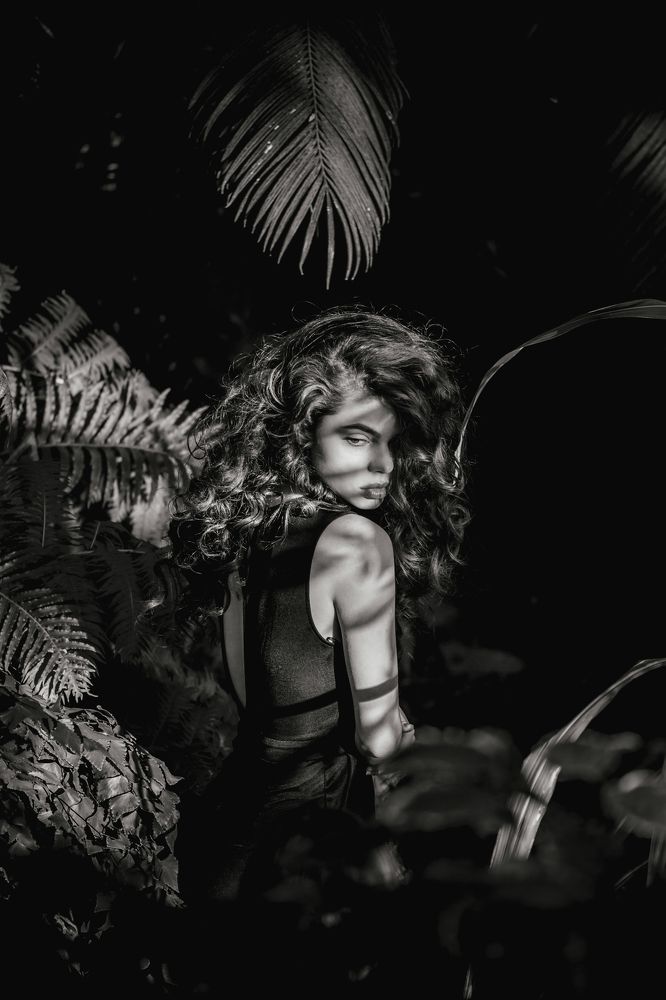 В объятиях леса