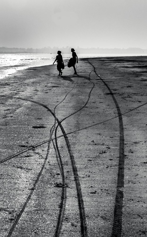 the shadow of love, the track of life