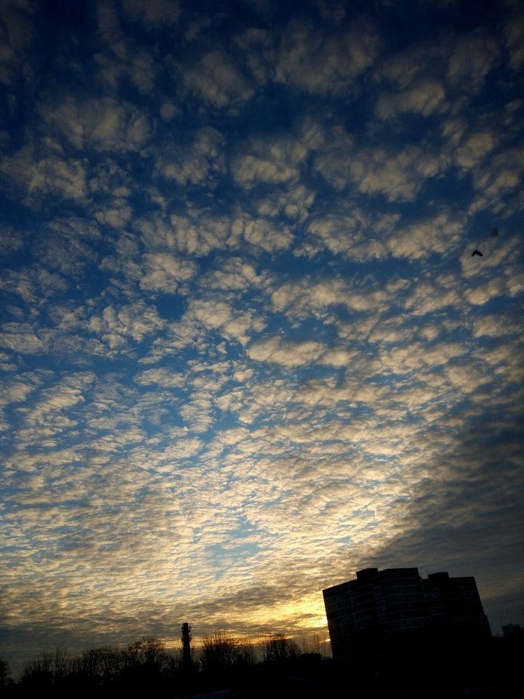 небо и пушистые облака