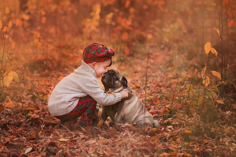 Фотография автора  Анастасия