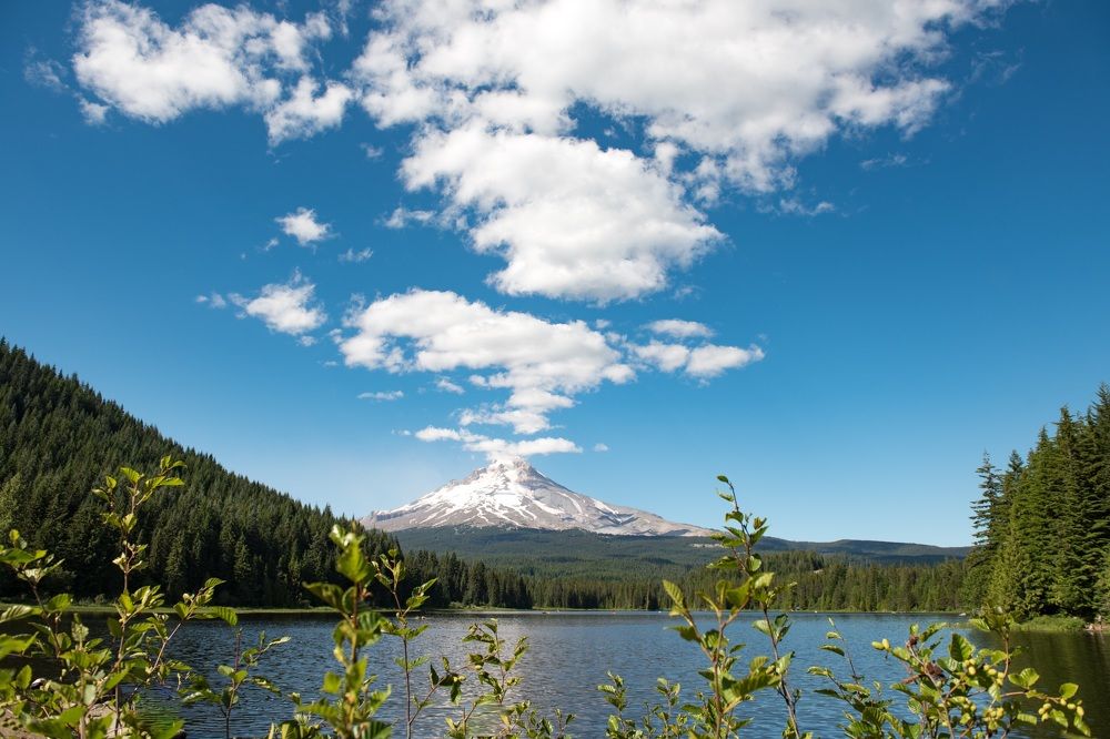 Trillium lake и Mt Hood