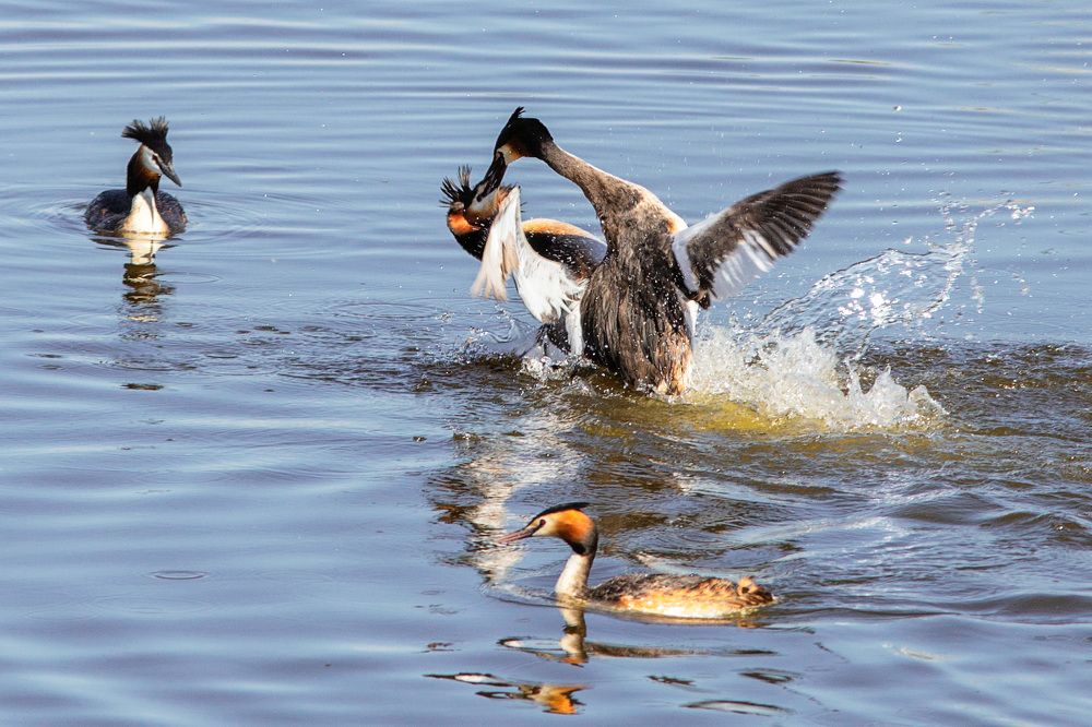 Фотография автора Леонид Никитин