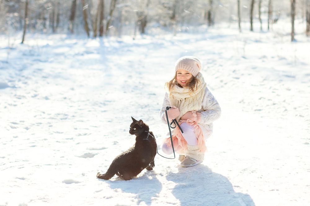 Photograph by Екатерина Дорофеева