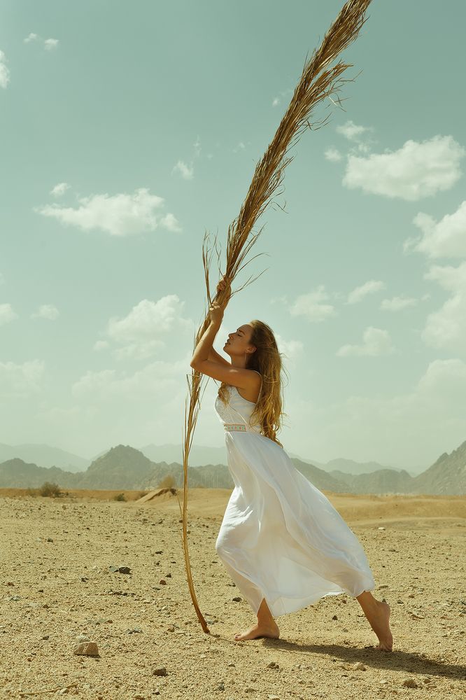 A feather of the sun