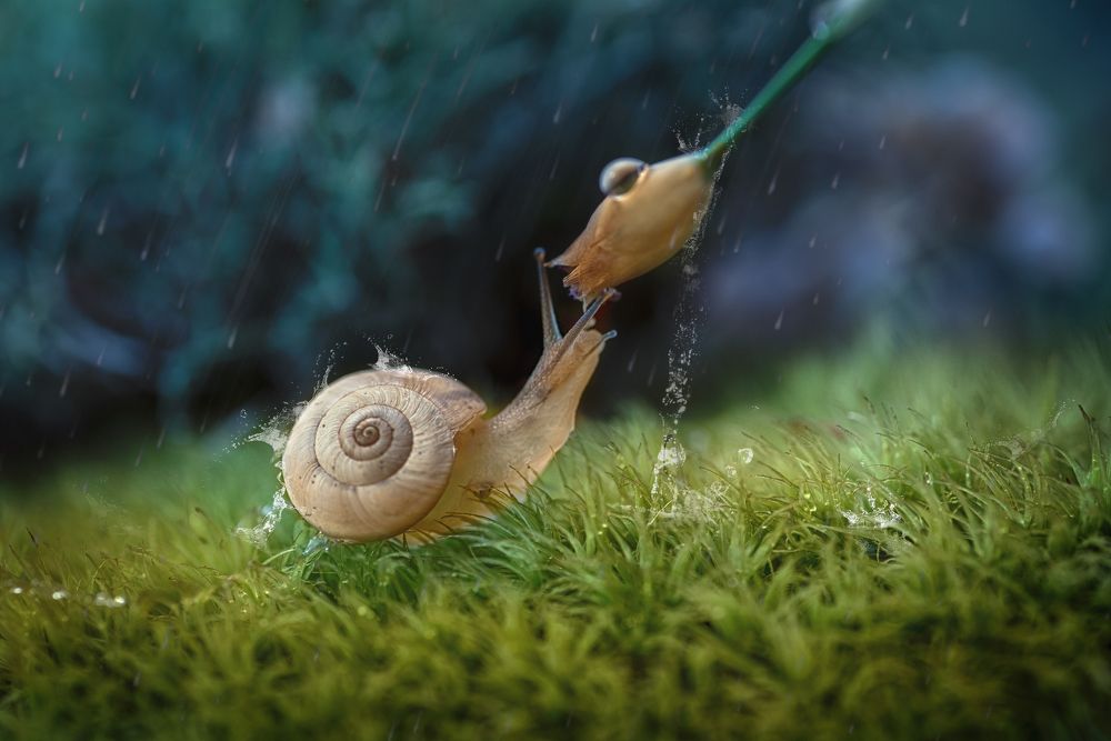 Let It Rain, Let It Rain ....