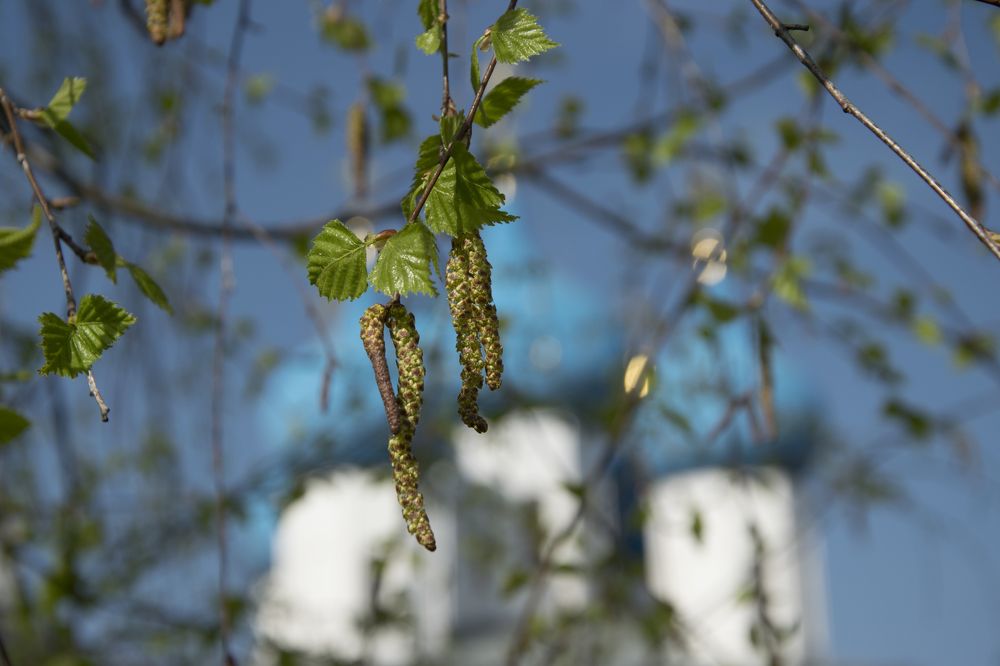 Весна, Серпухов