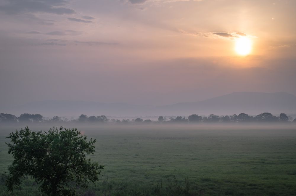 Фотография автора Константин Яковлев