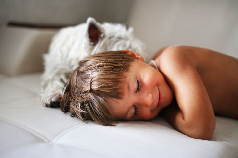 поваляшки с другом