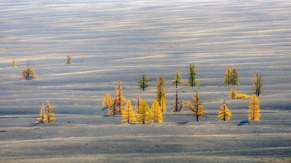 Волны Курая