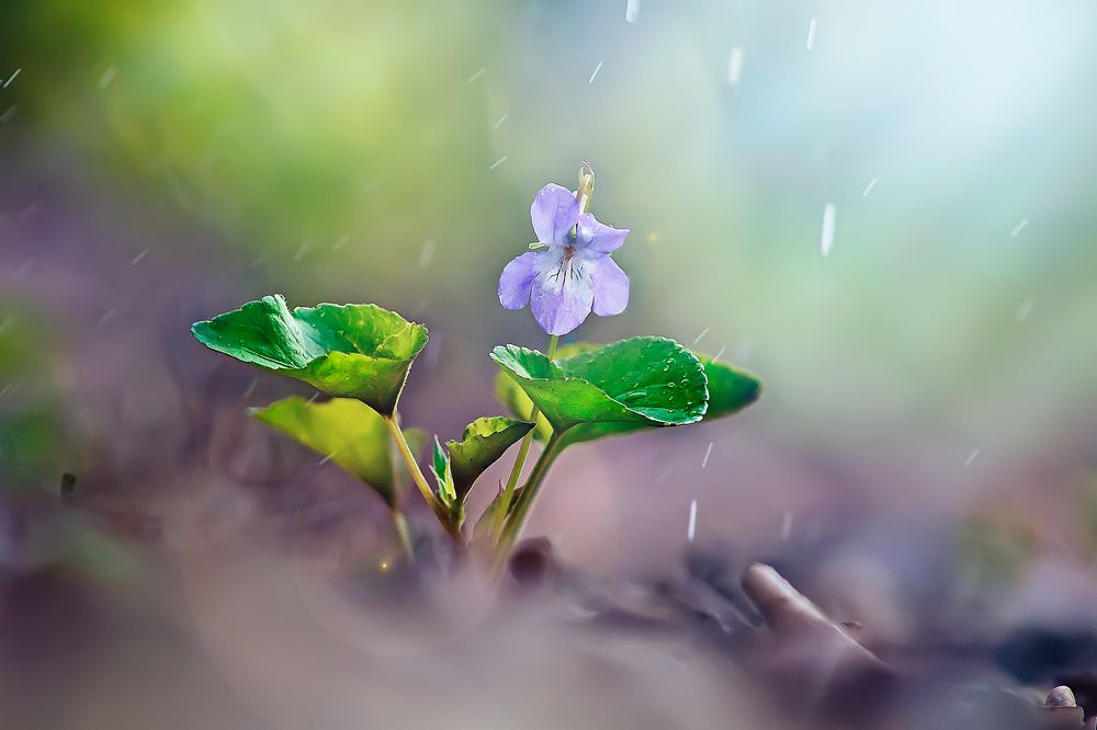 Photograph by Юрий Котов