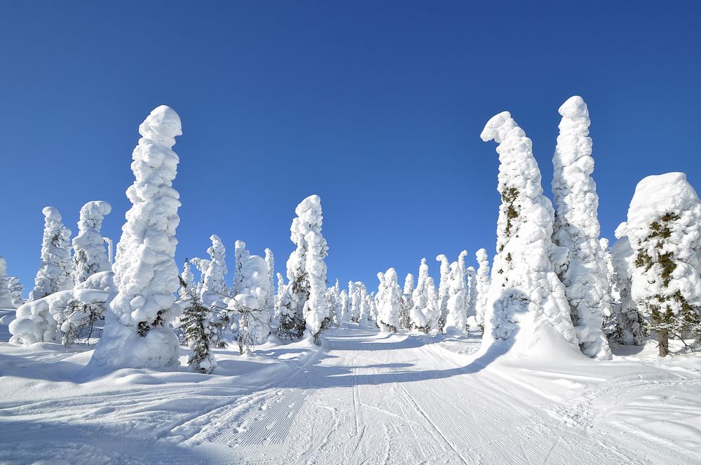 Зимняя дорога